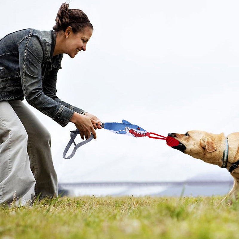 Dog playing tug with the toy