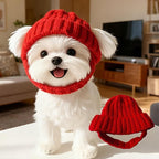 Small dog wearing red knitted hat