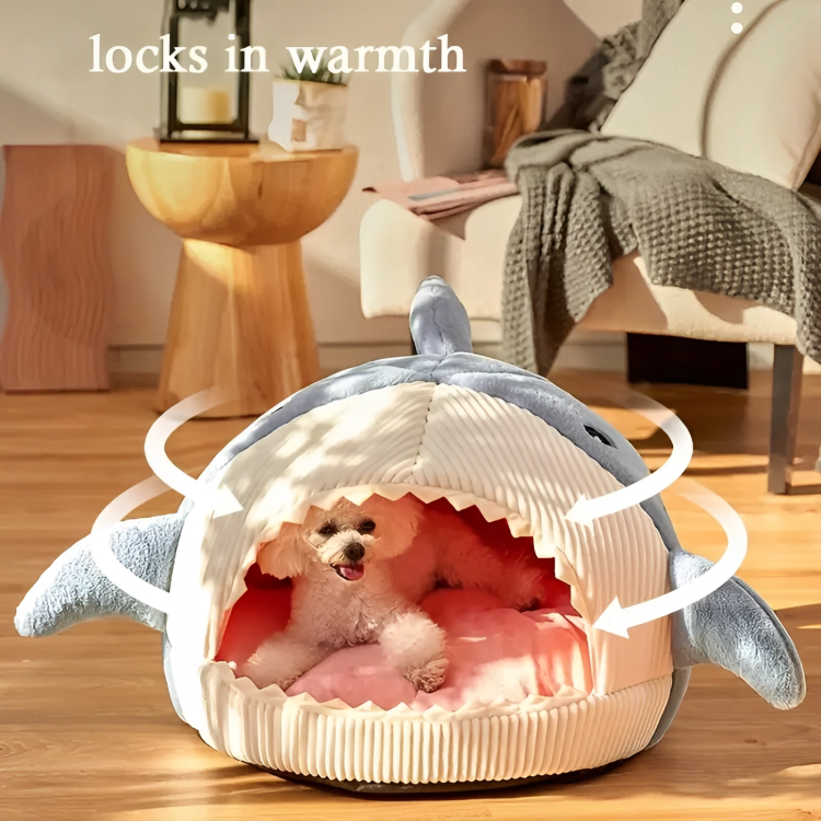 Cat resting in shark bed