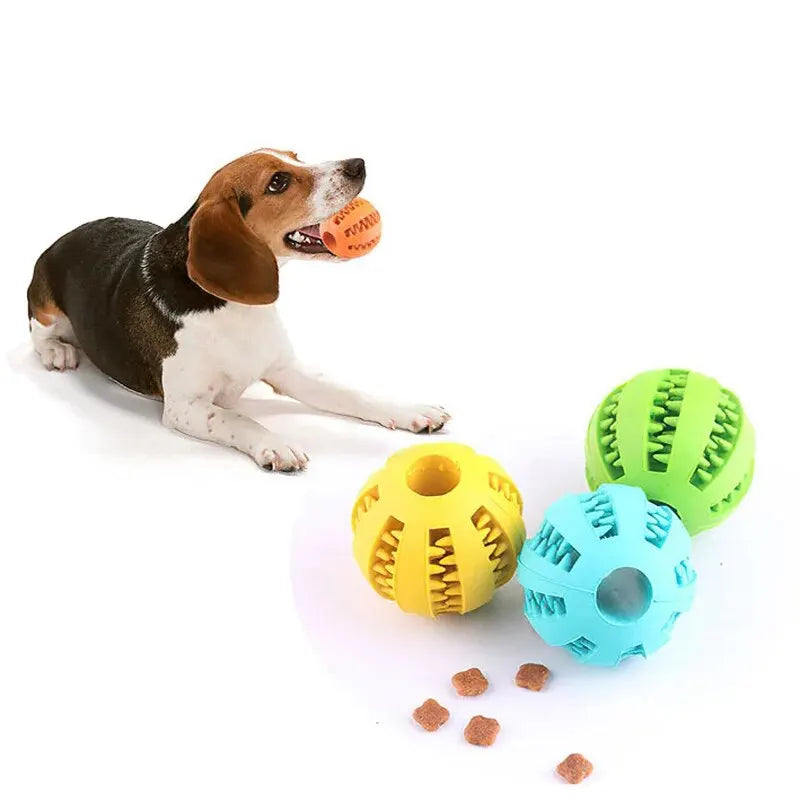 Rubber chew ball for dogs