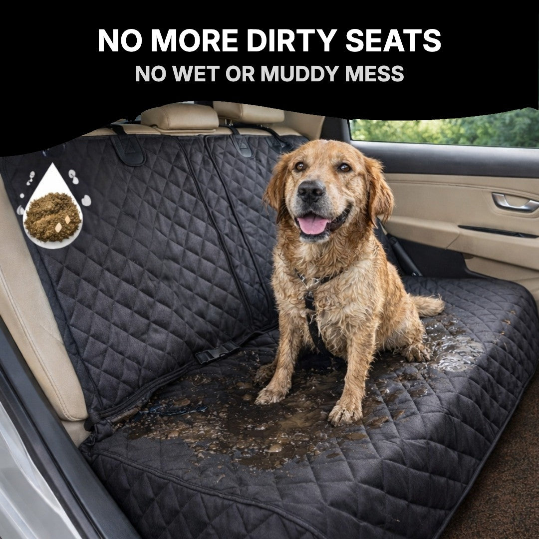 Dog with muddy paws on the seat cover