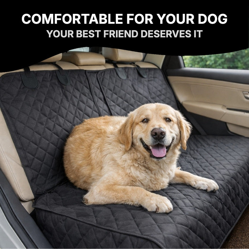 Golden retriever lying on the back seat cover