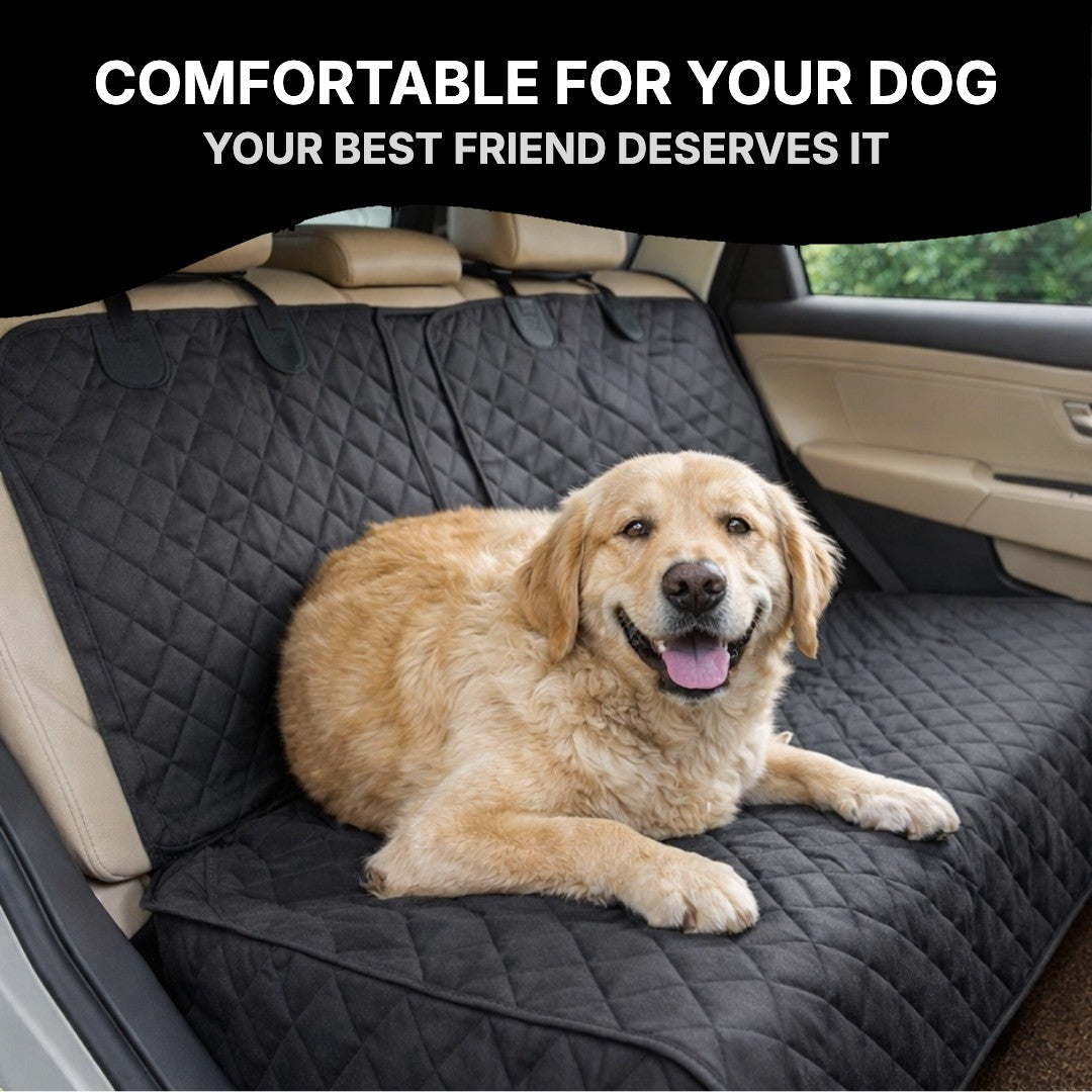 Golden retriever lying on the back seat cover