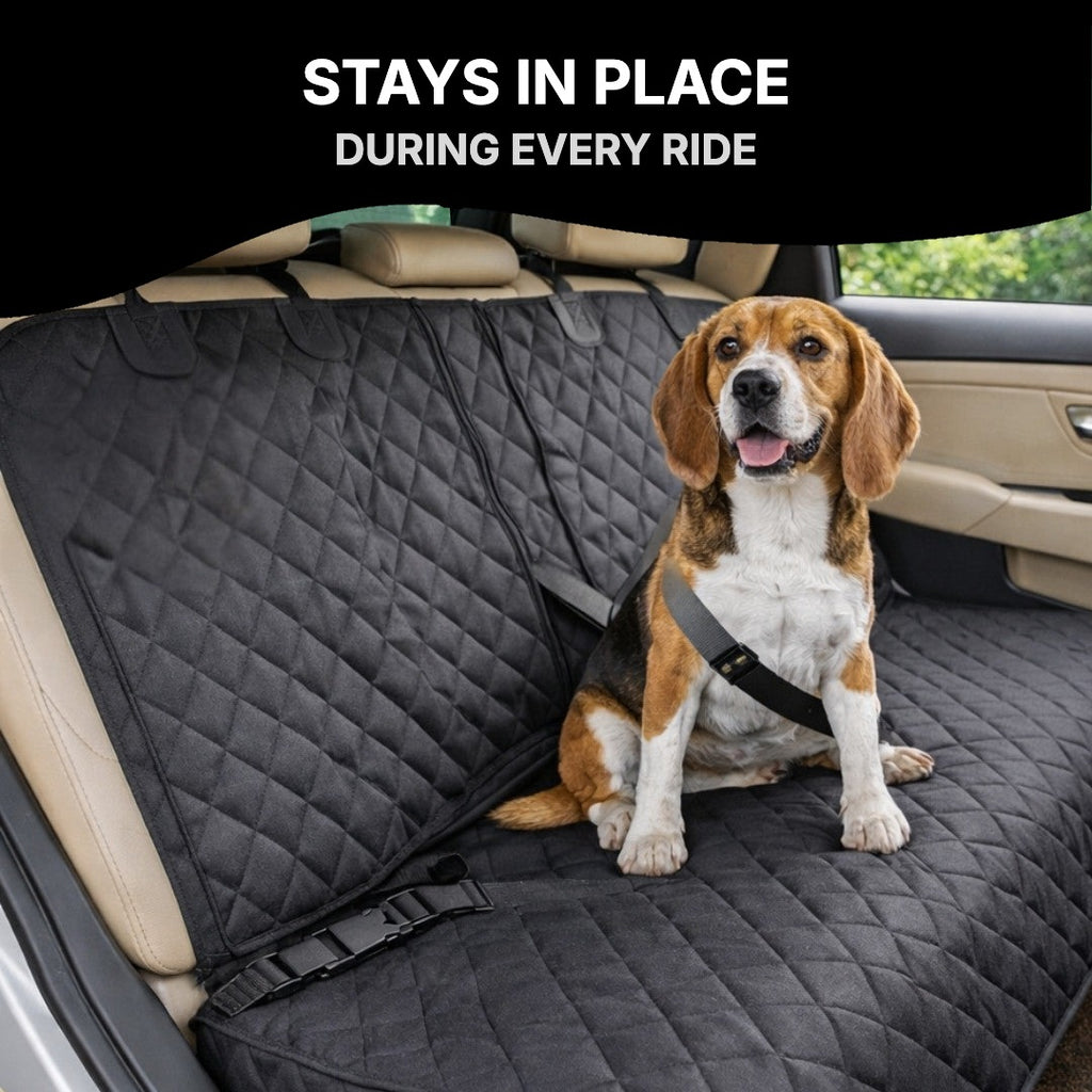 Beagle on the seat cover during a car ride