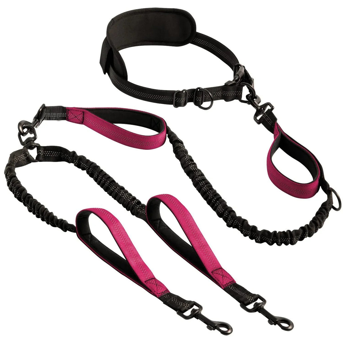 Double dog leash colour option