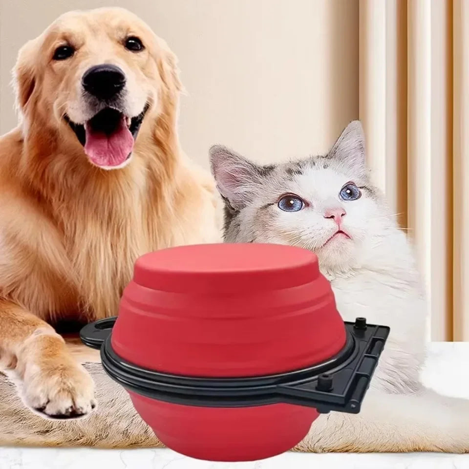 Collapsible double travel pet bowl