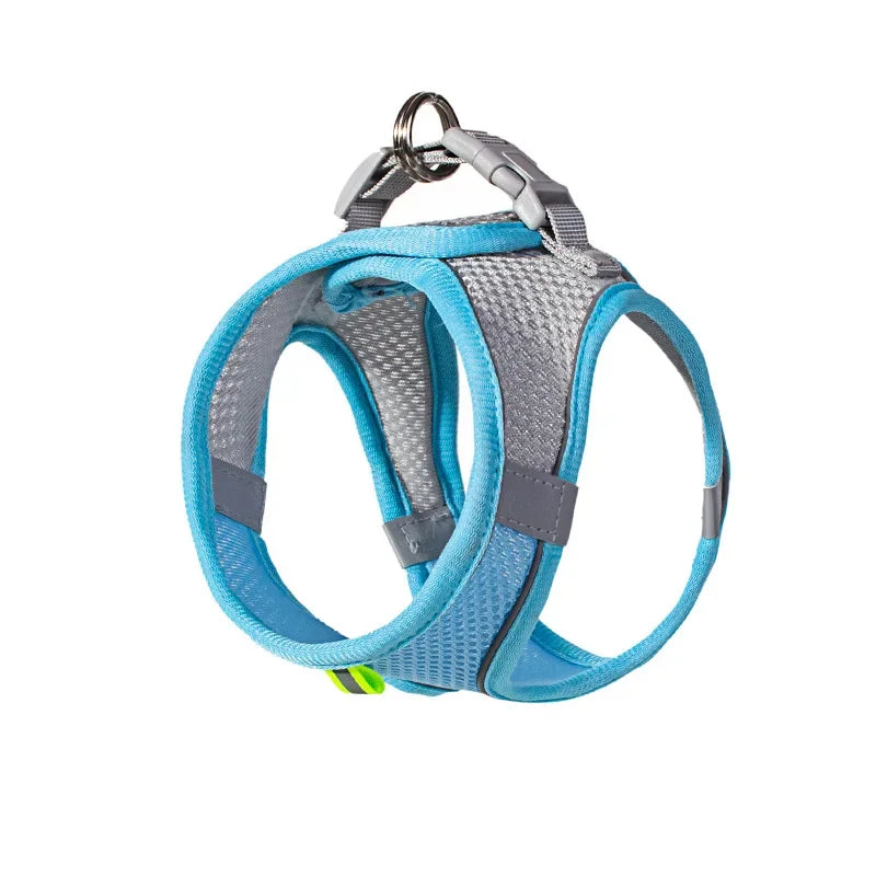 Mesh harness colour option