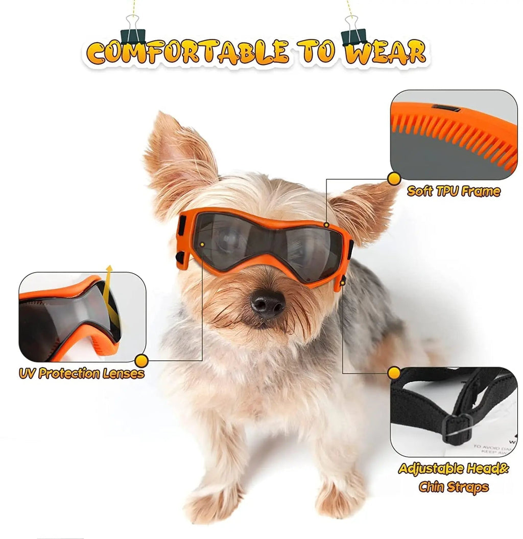 Dog goggles worn outdoors
