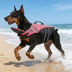 Dog swimming in life jacket
