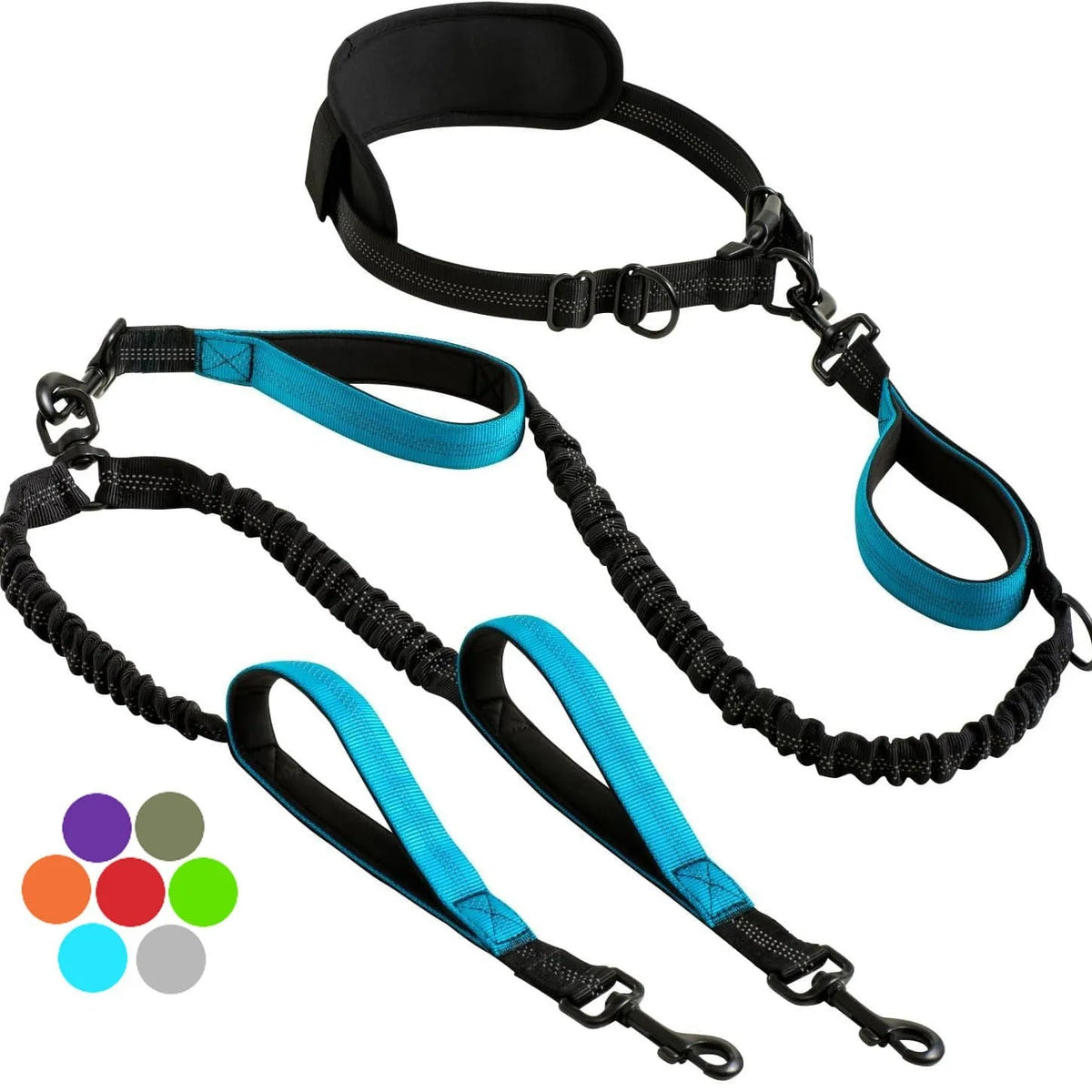 Double dog leash colour option
