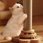 Cat playing with scratching post toys