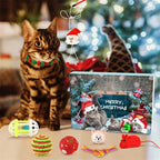 Cat playing with a toy