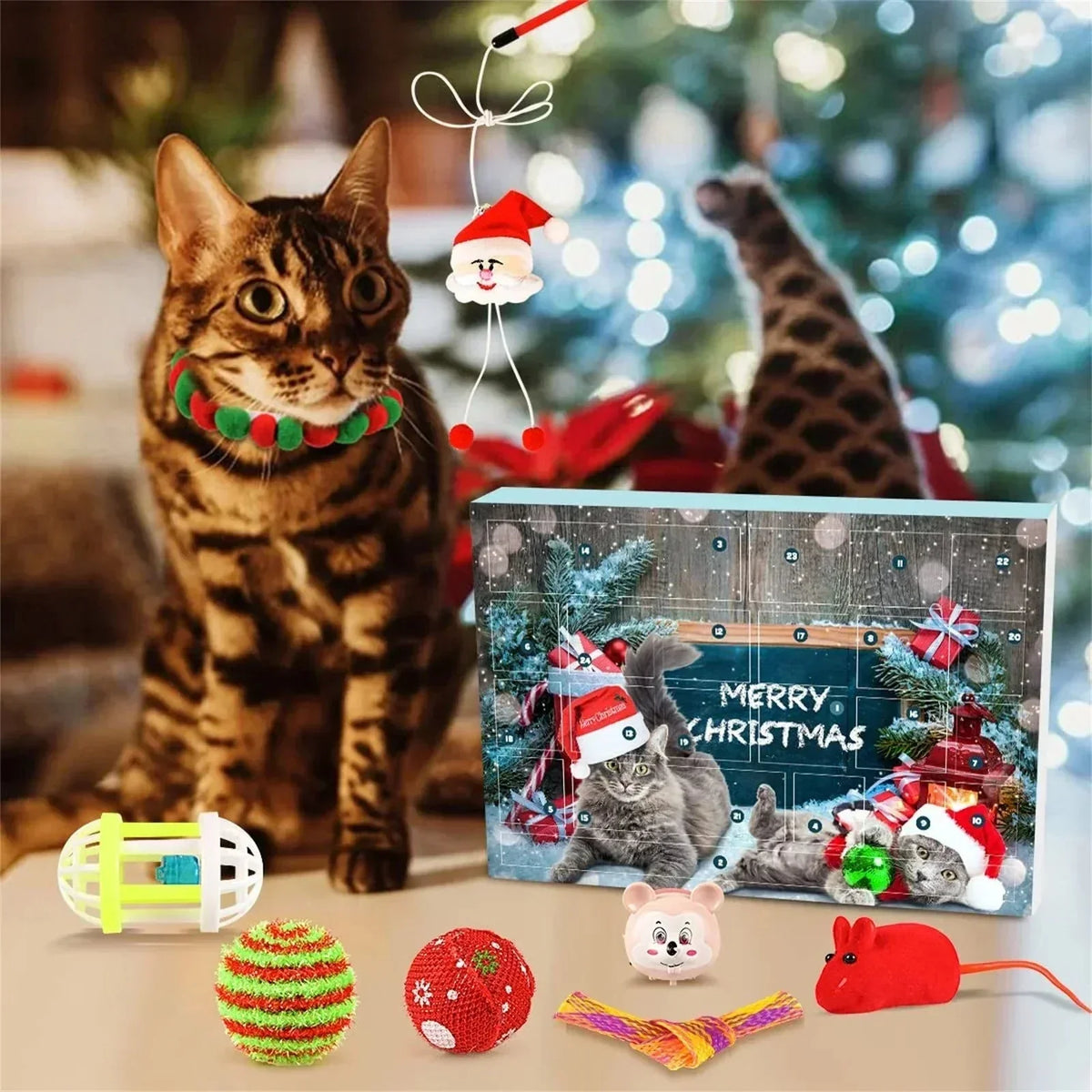 Cat playing with a toy