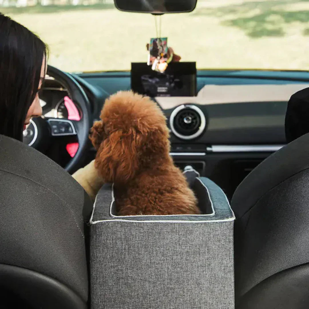 Grey elevated dog car seat