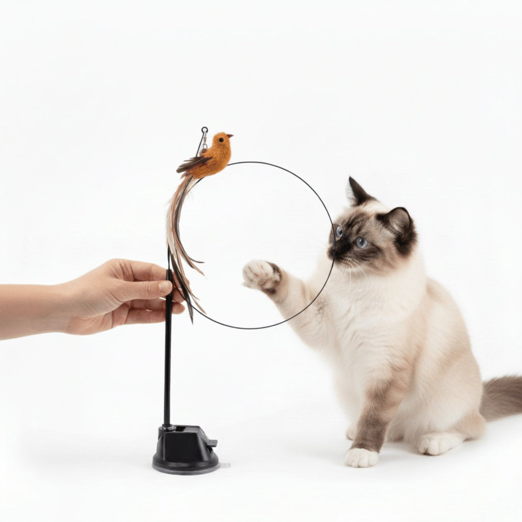 Cat teaser wand with feathered bird toy on flexible rod and black suction cup stand, cat jumping (view 3)