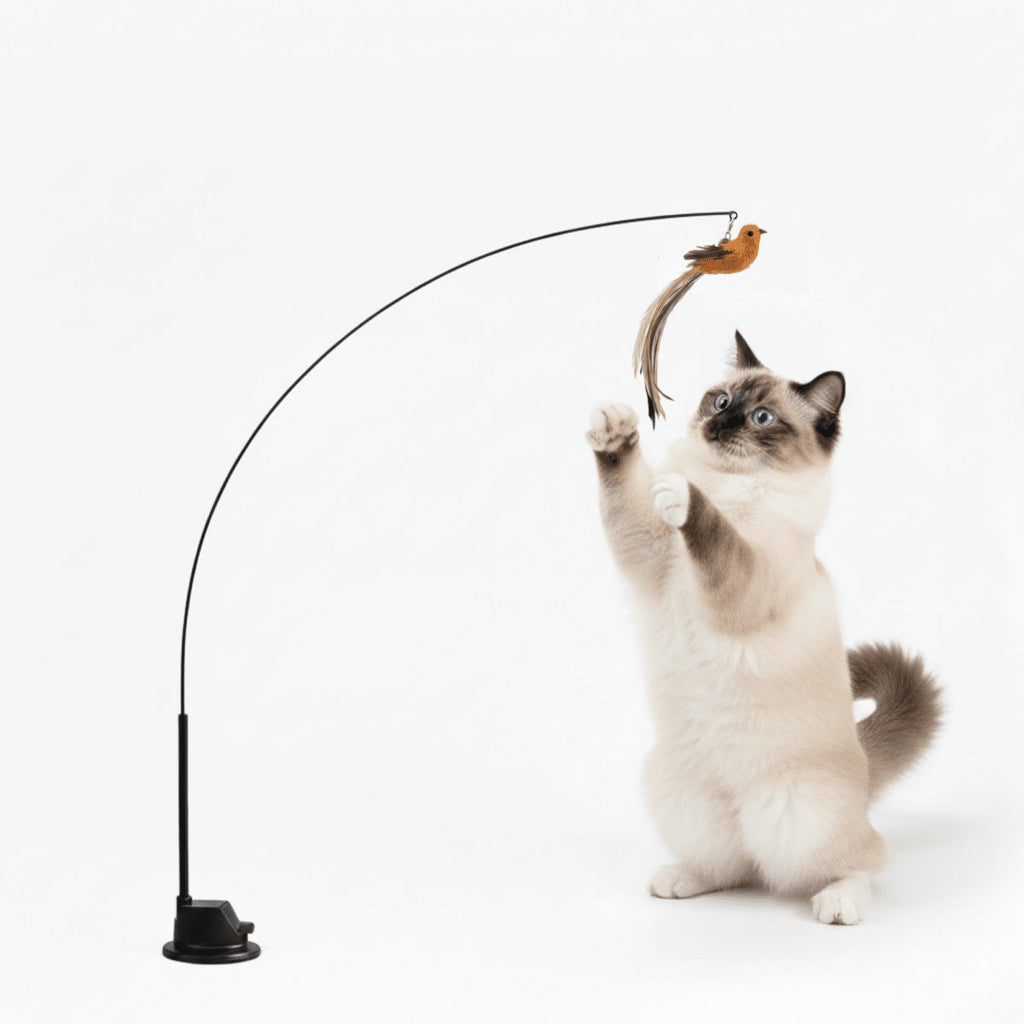 Cat teaser wand with feathered bird toy on flexible rod and black suction cup stand, cat jumping