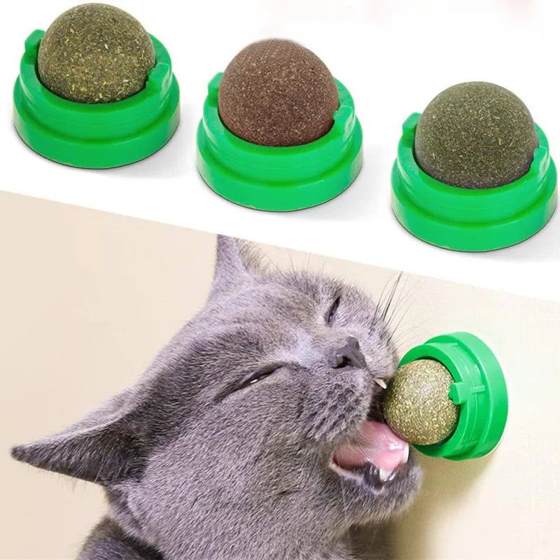 Cat licking a catnip wall ball