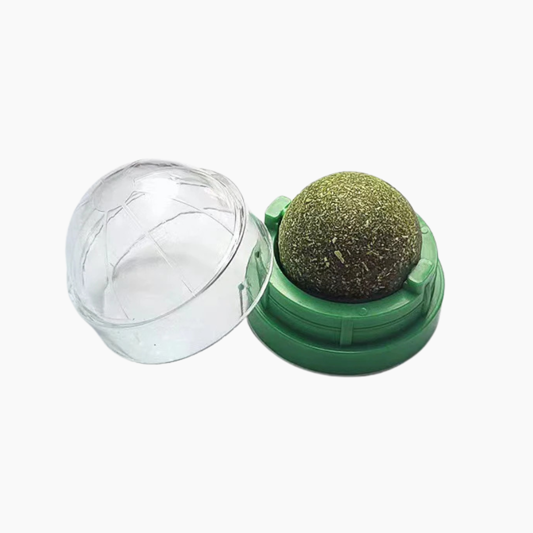 Catnip wall ball with clear cover