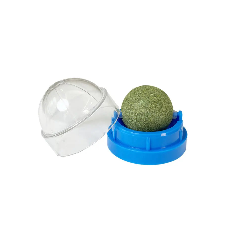 Blue catnip wall ball