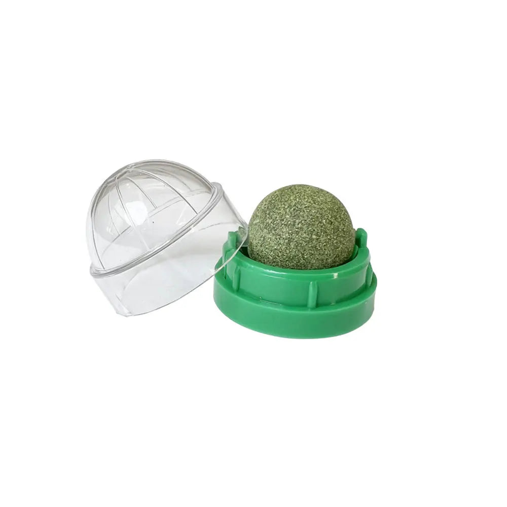 Green catnip wall ball with cover