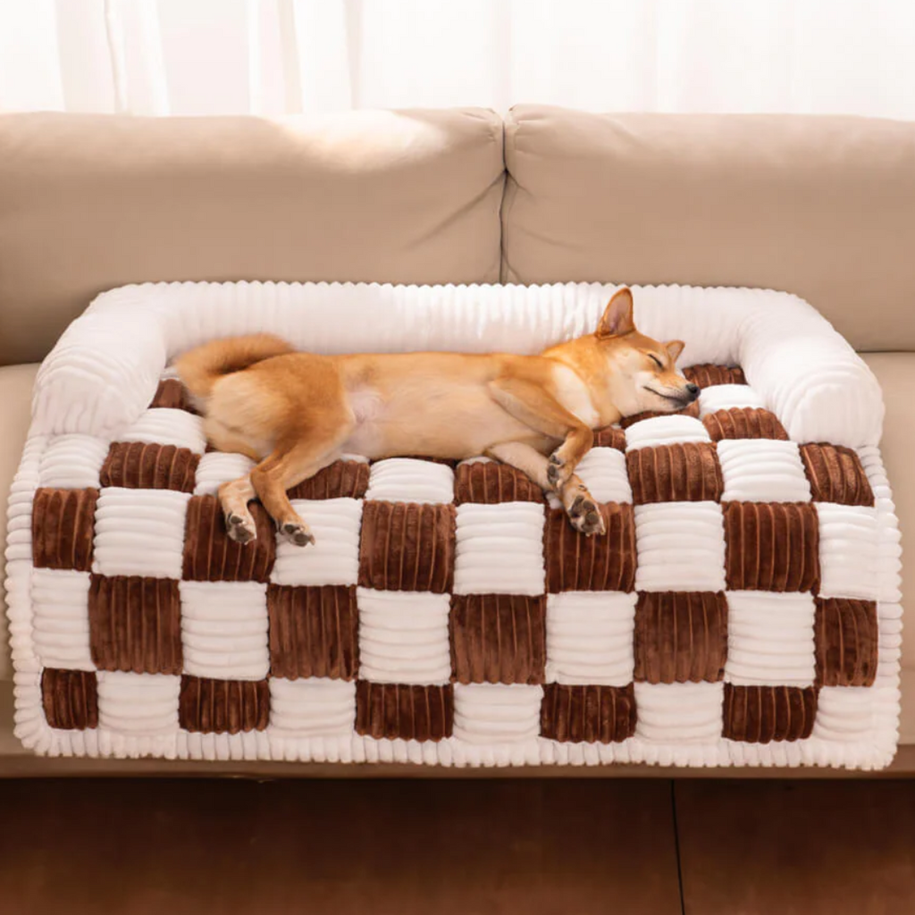 Dog lying on a brown checkered sofa mat