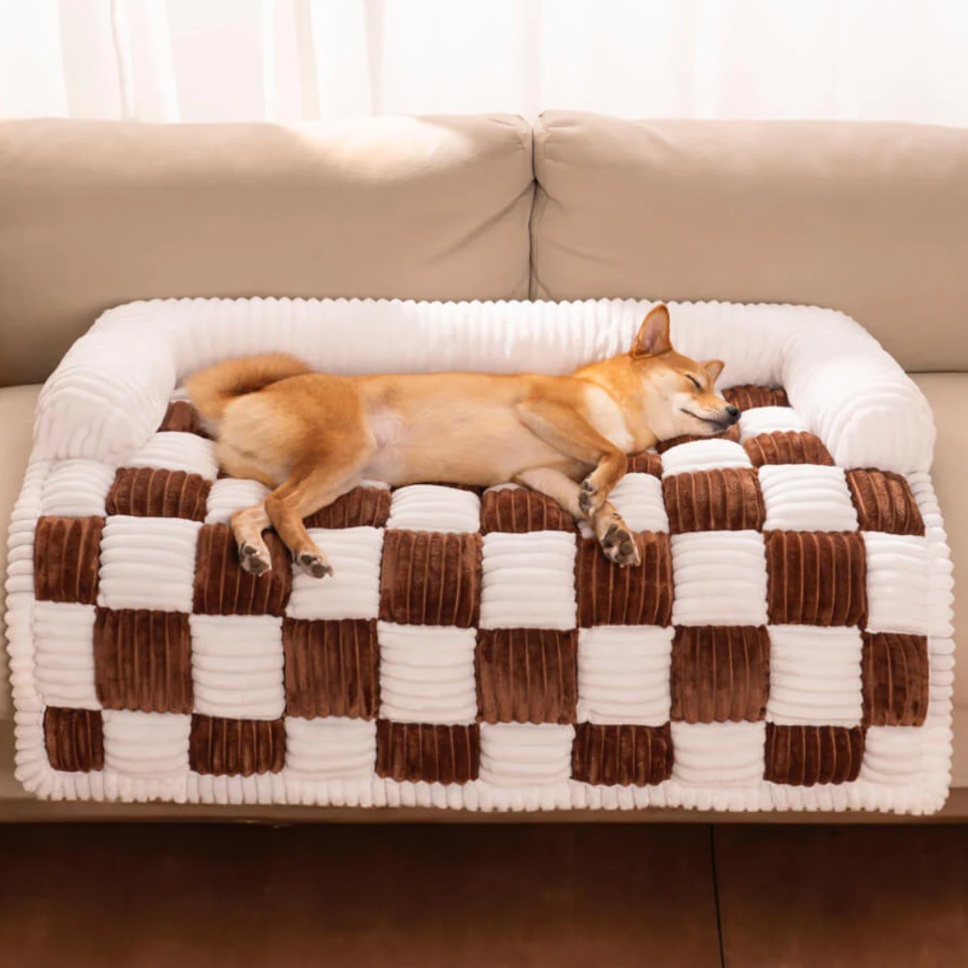 Dog lying on a brown checkered sofa mat