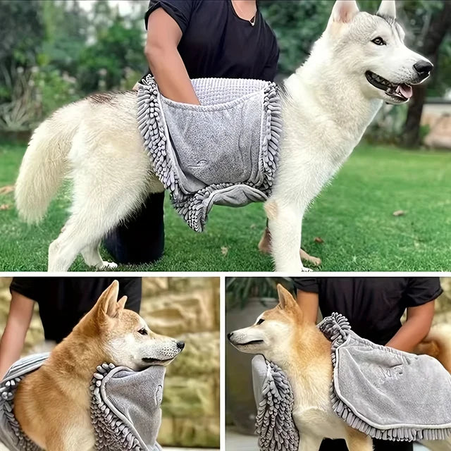 Drying a large dog with the towel