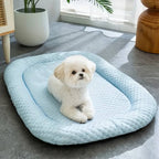 Cooling dog bed