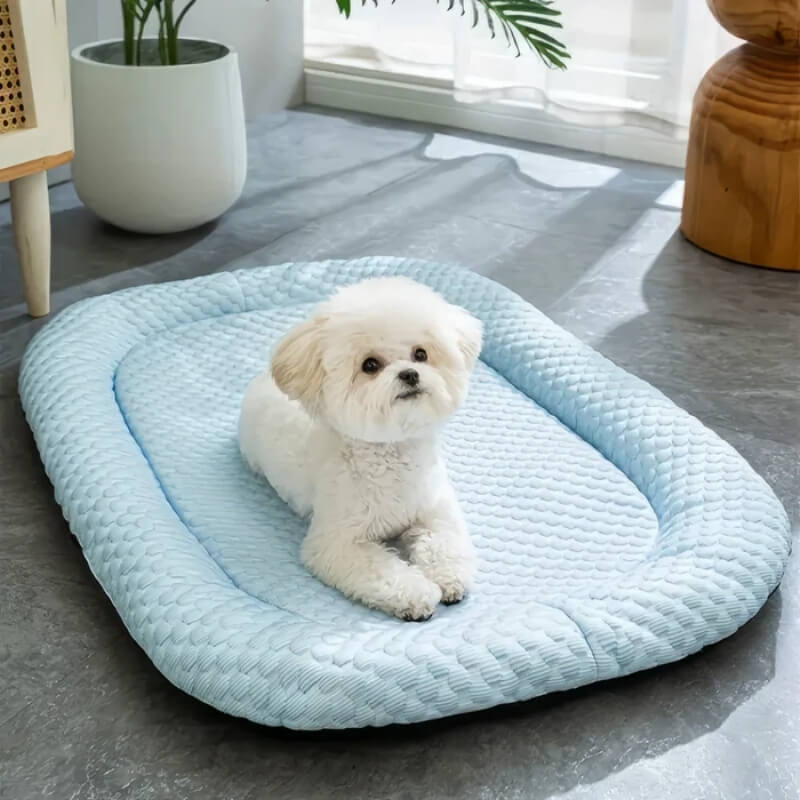 Cooling dog bed