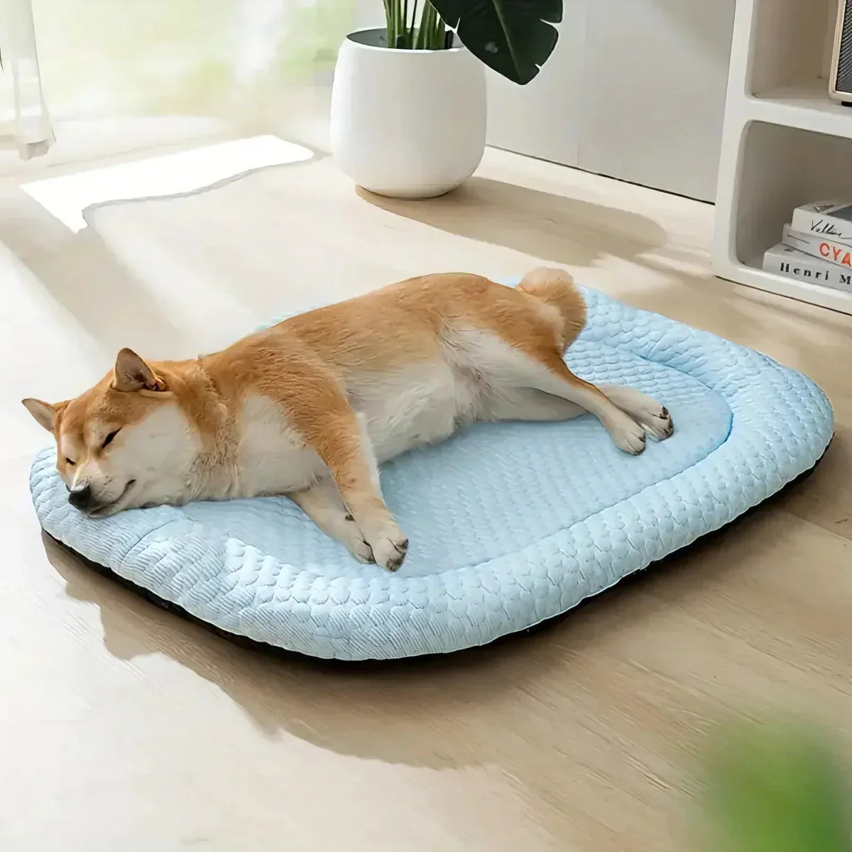 Dog resting on a cooling bed