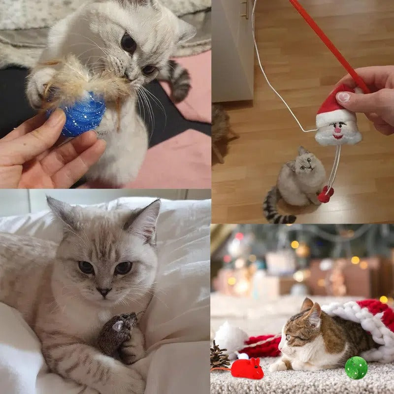 Cat with advent calendar toys