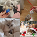 Cat with advent calendar toys
