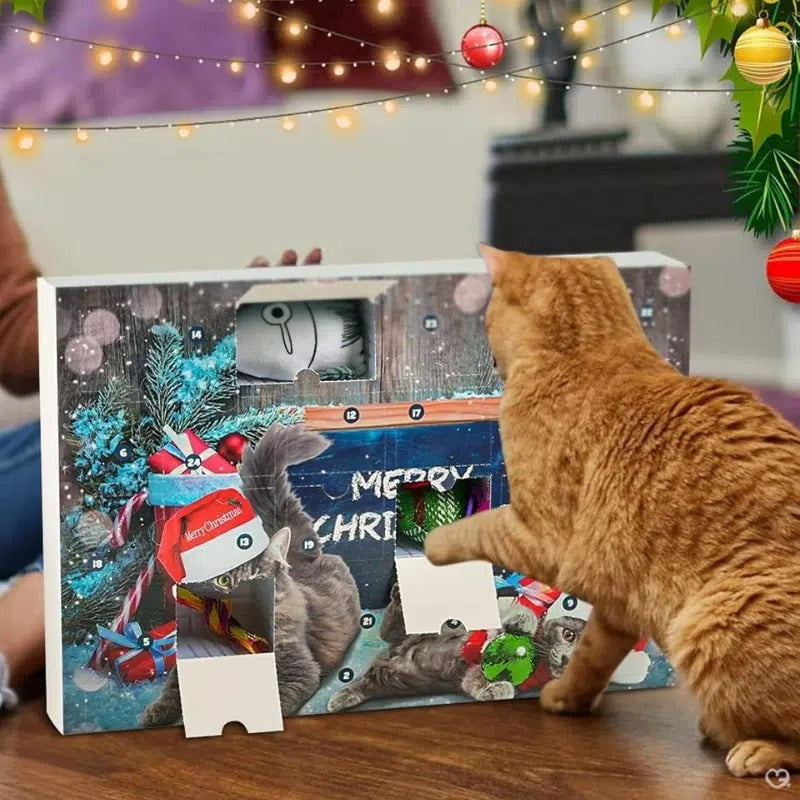 Advent calendar opened doors