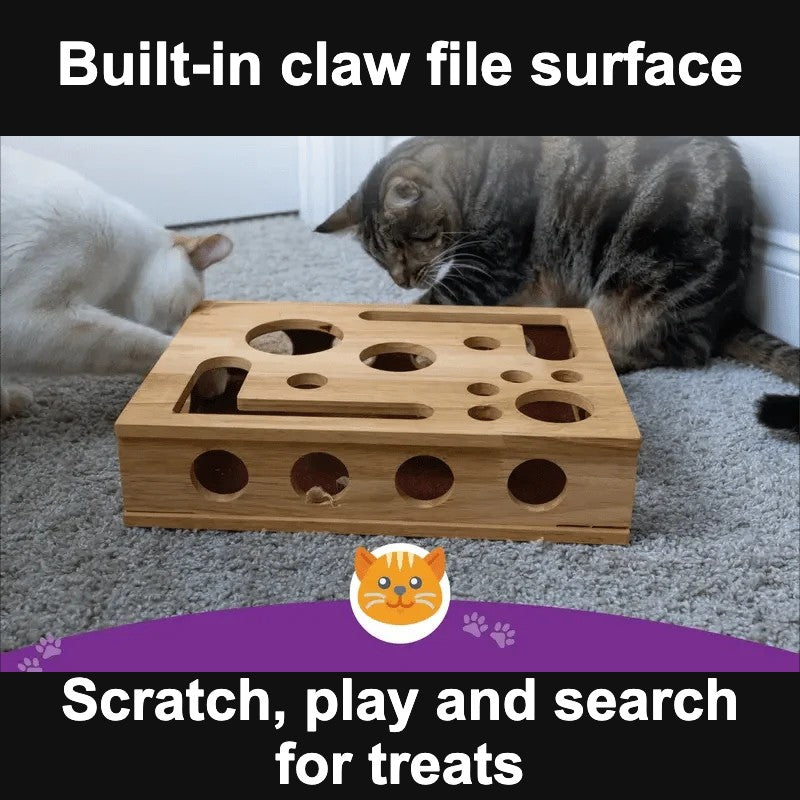 Cat playing with wooden puzzle box