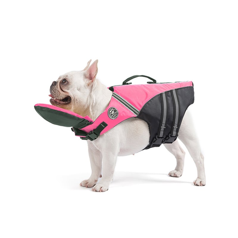 Pink dog life jacket