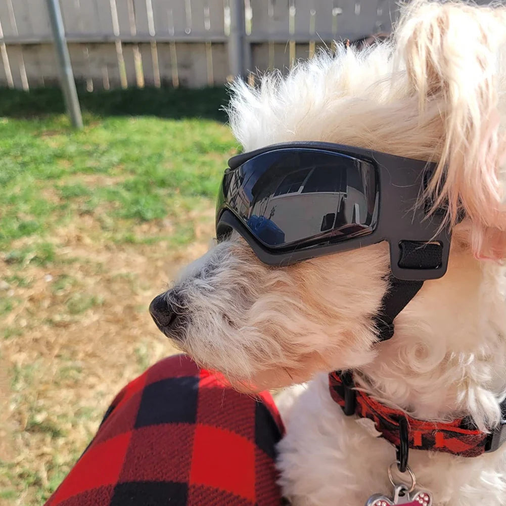 Dog goggles with adjustable straps