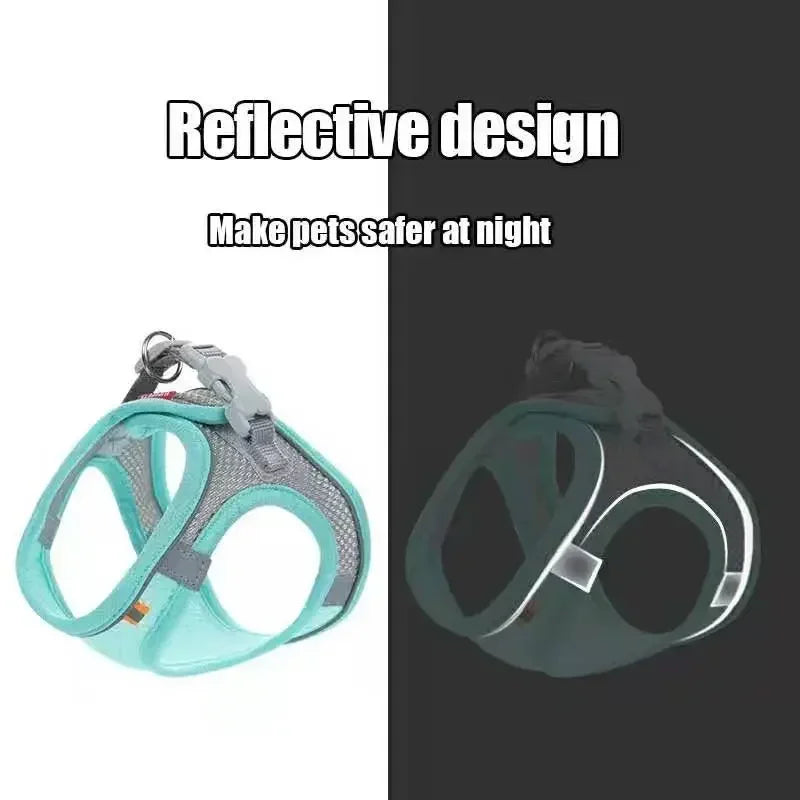 Reflective strip on pet harness at night