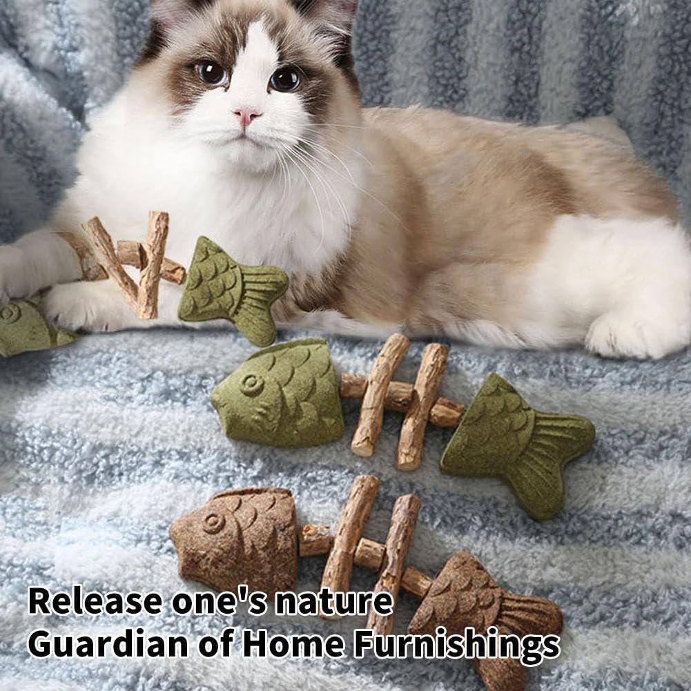 Cat playing with chew toy