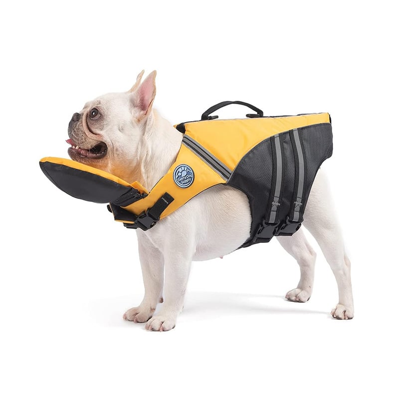 Yellow dog life jacket
