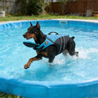 Dog life jacket