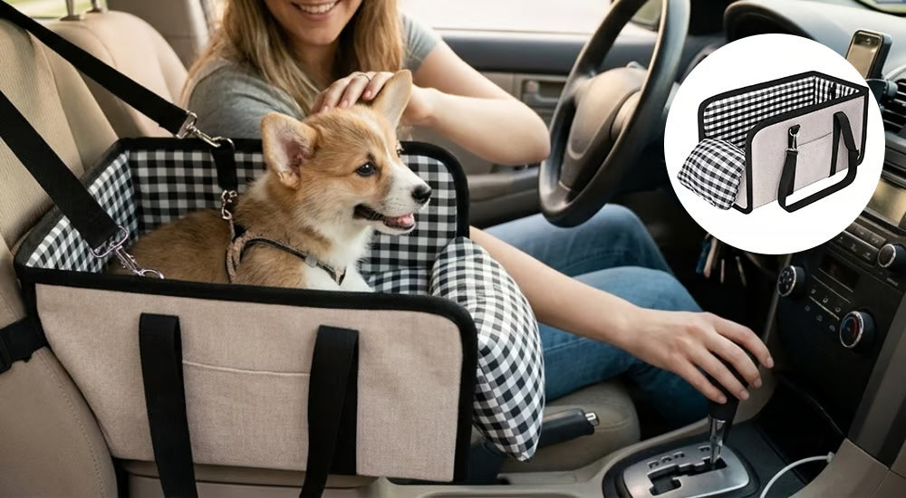 Dog car seat with cushion