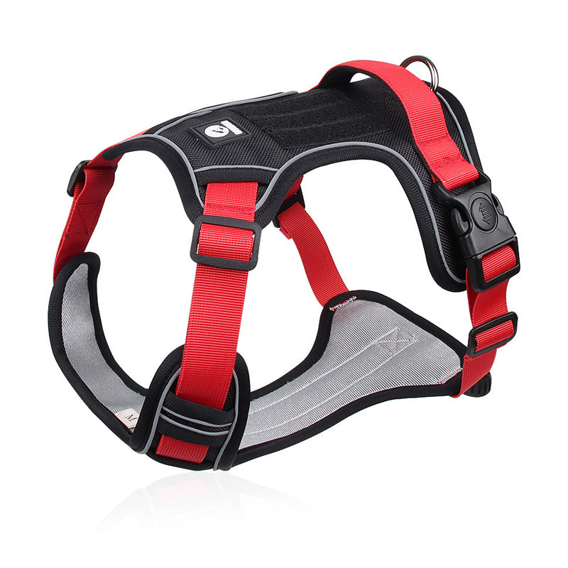 Padded dog harness close-up