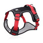Padded dog harness close-up
