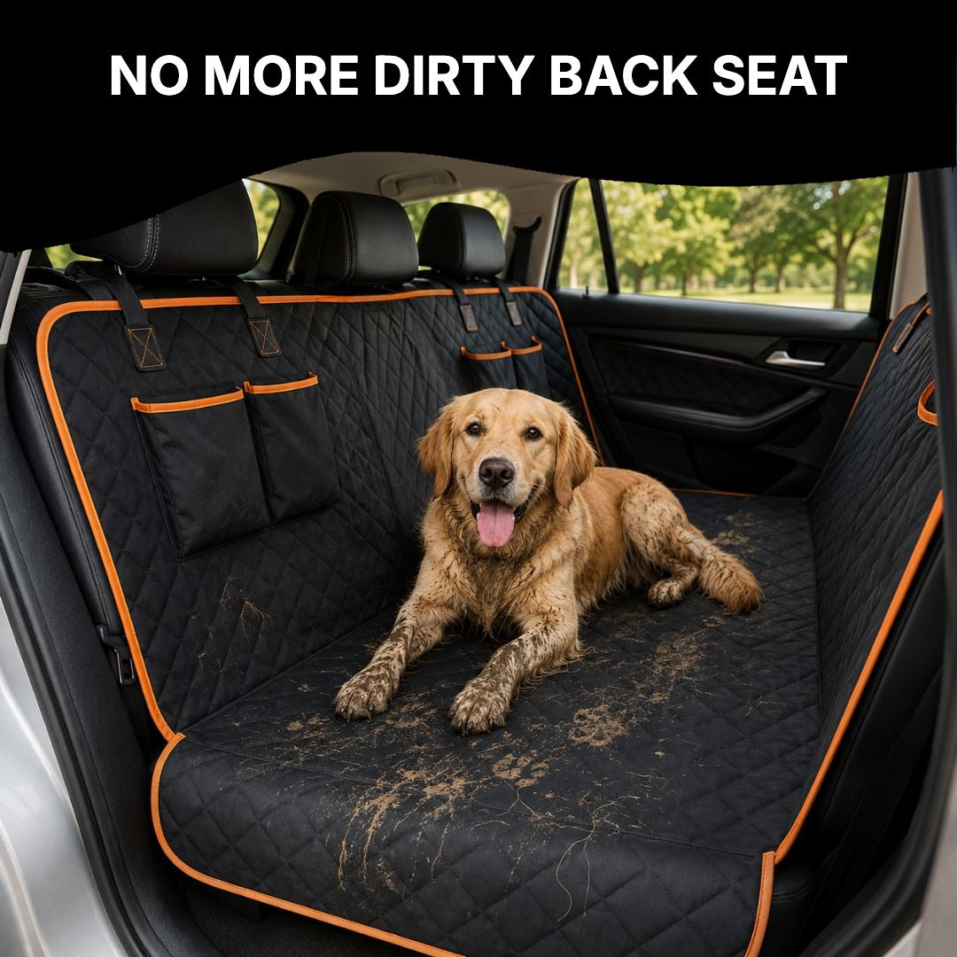 Dog lying on the back seat cover