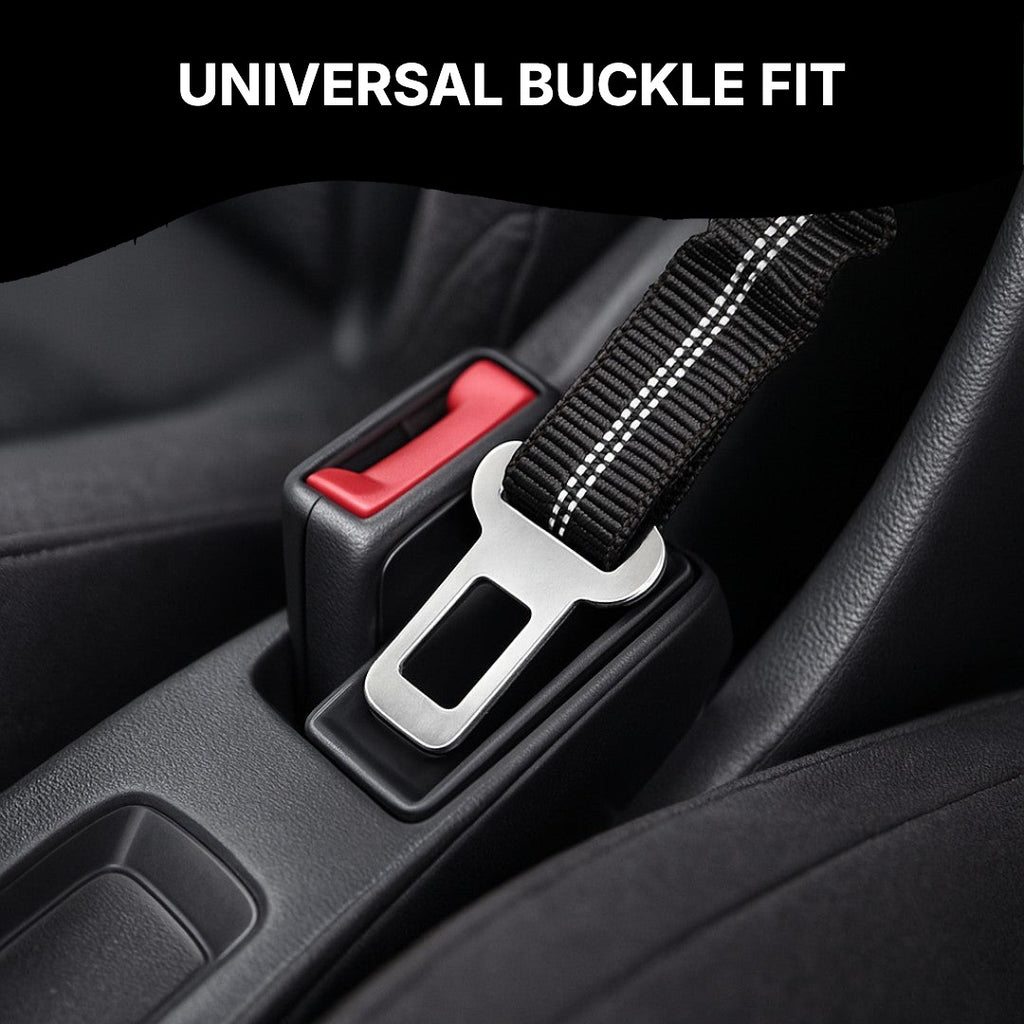 Seat belt clip in a car buckle