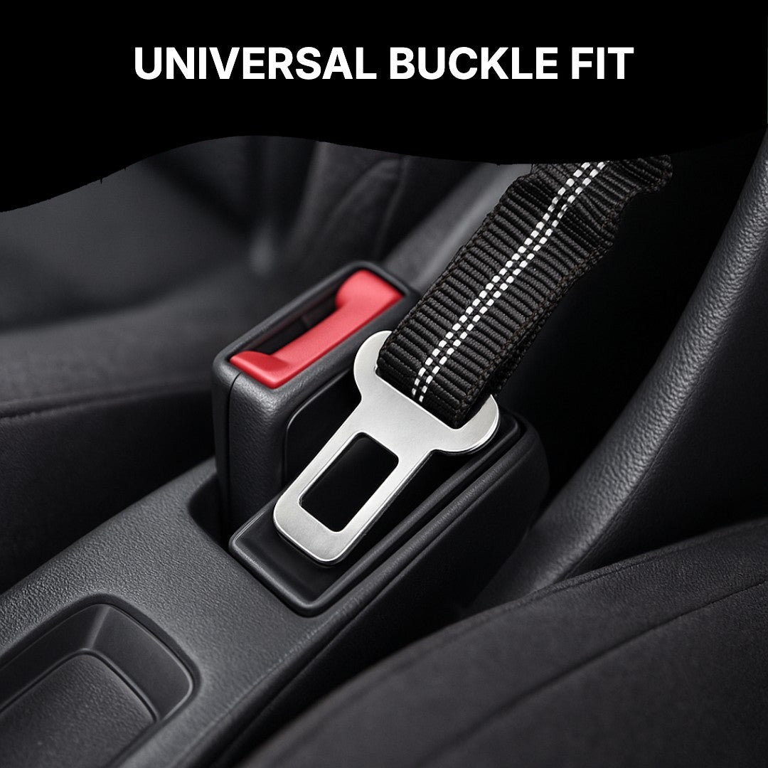 Seat belt clip in a car buckle
