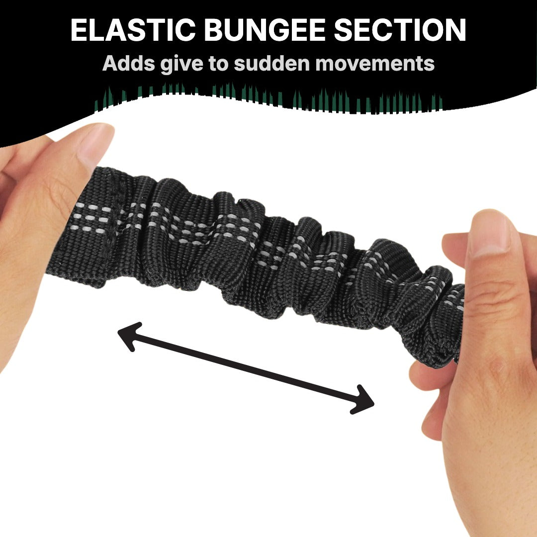 Elastic bungee section of the dog seat belt