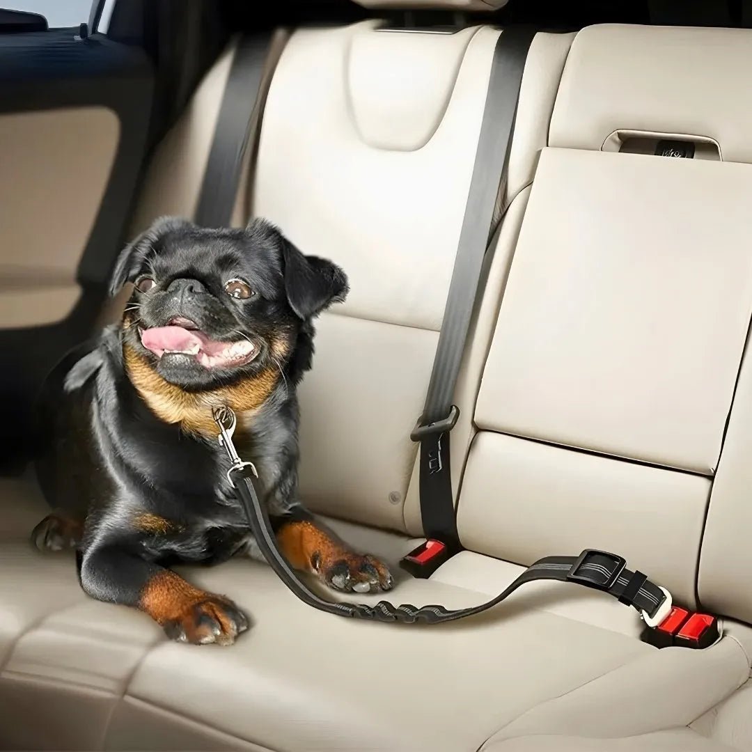 Black adjustable dog car seat belt with metal snap hook and seat belt buckle tongue on car seat (view 2)