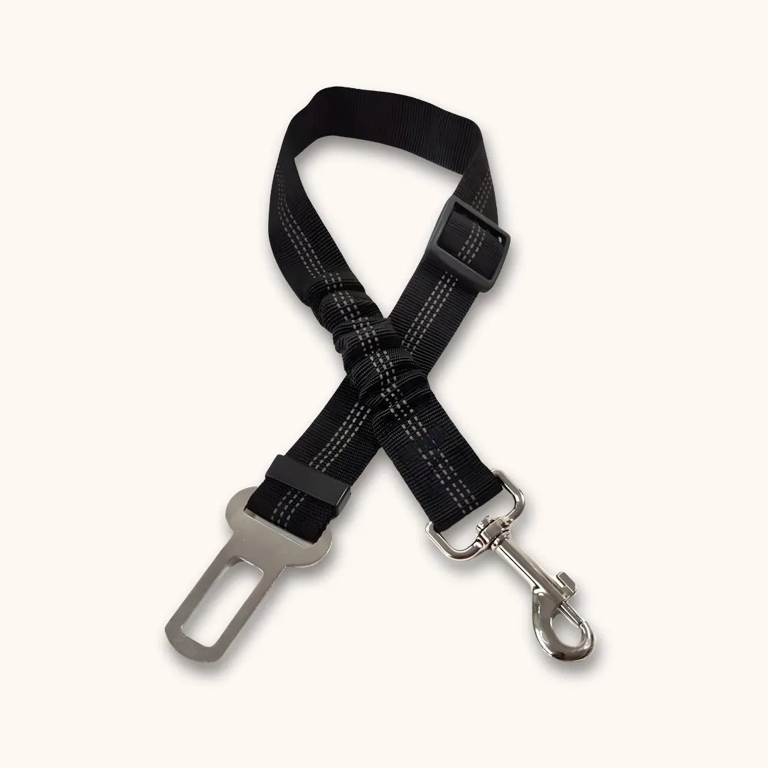 Black adjustable dog car seat belt with metal snap hook and seat belt buckle tongue on car seat