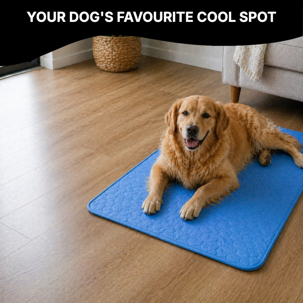 Dog relaxing on a cooling mat